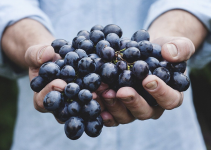 beneficios de comer uvas verdes, beneficios de comer uvas negras, beneficios de comer uvas rojas, beneficios de comer uvas sin semillas, beneficios de comer uvas diariamente